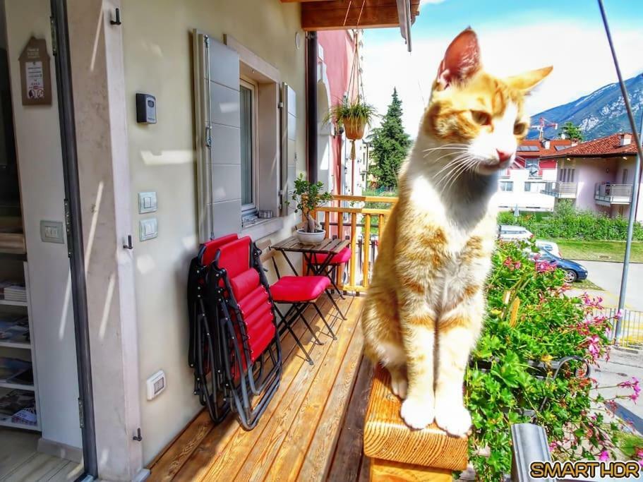 Antica Casa Alboletta - Appartamento Frida Kahlo Riva del Garda Dış mekan fotoğraf